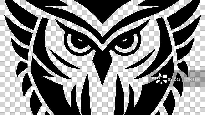 猫头鹰——黑白相间图片素材