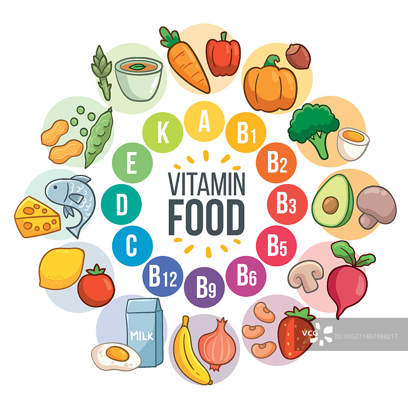 维生素食物信息图图片素材