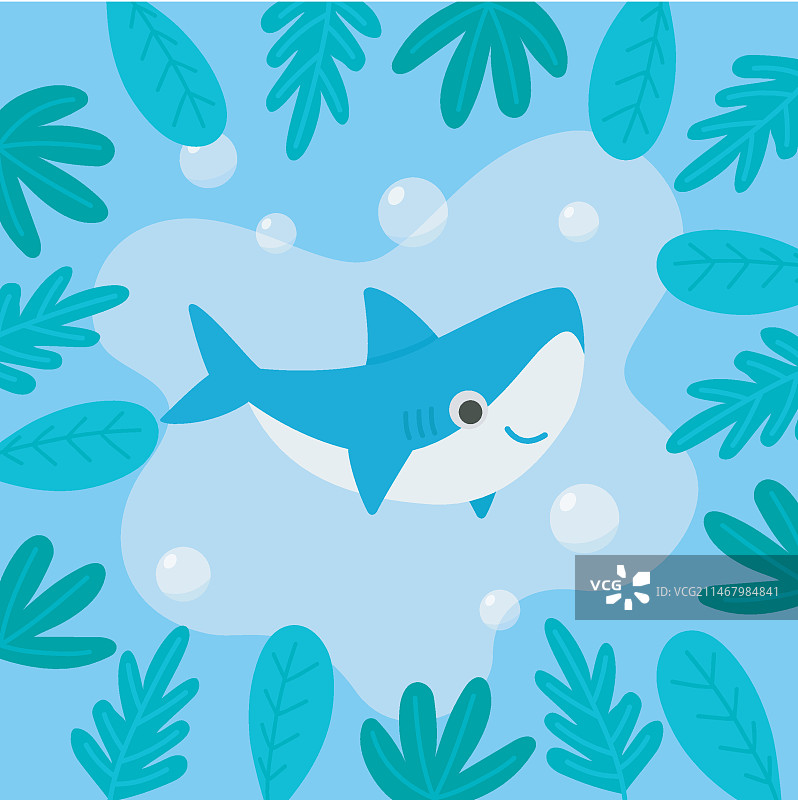 扁平风格的宝宝鲨鱼图片素材