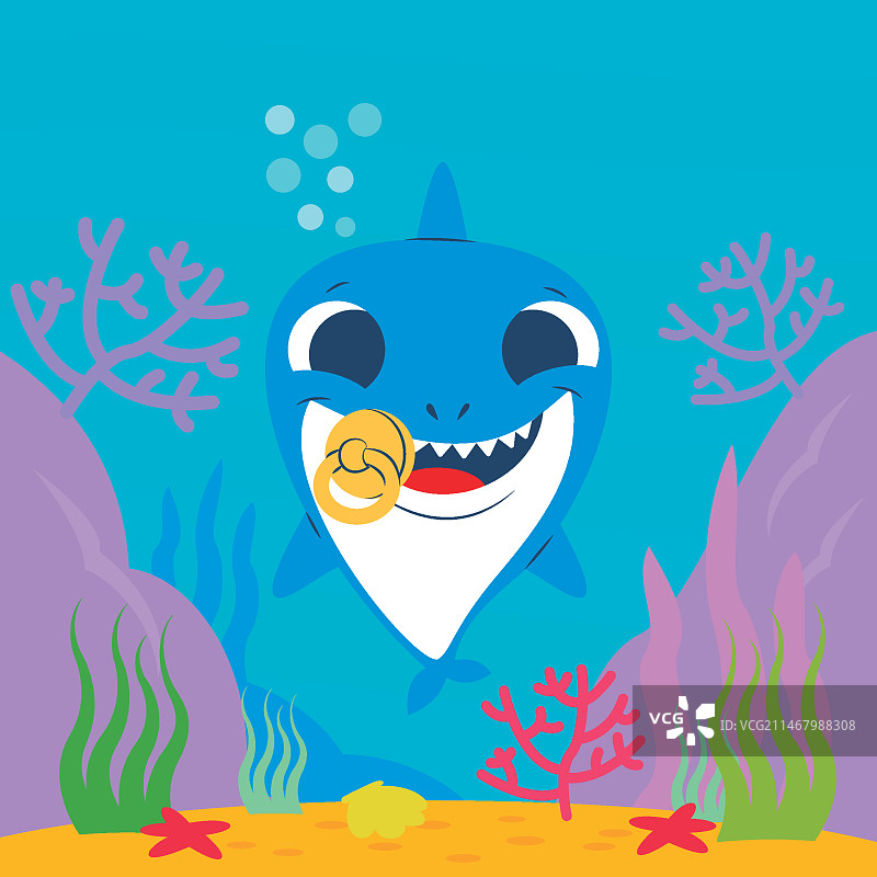 小鲨鱼水概念图片素材