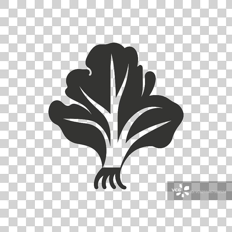 小白菜图标图片素材