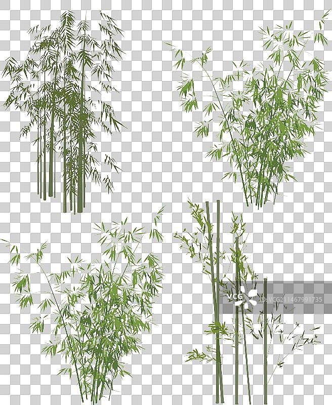 新中式绿色竹子竹叶图片素材