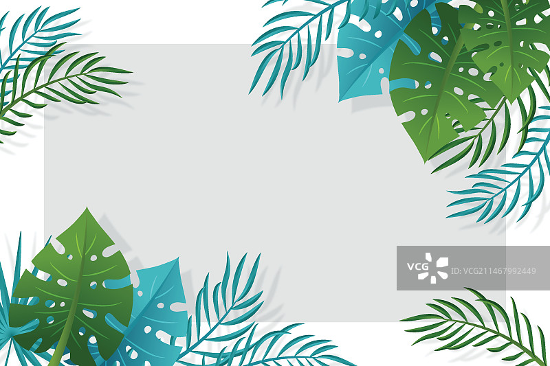 热带树叶背景图片素材