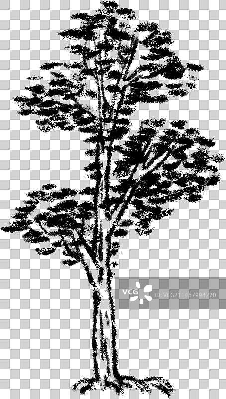 国画树元素图片素材