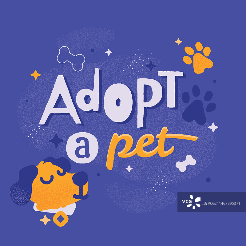 领养宠物狗概念图片素材