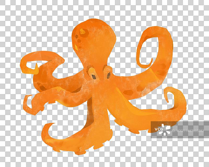 橘色海洋生物墨鱼插画元素图片素材