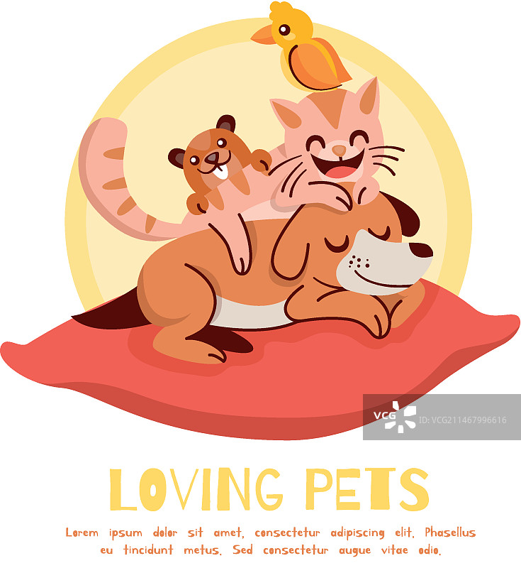 宠物概念图片素材