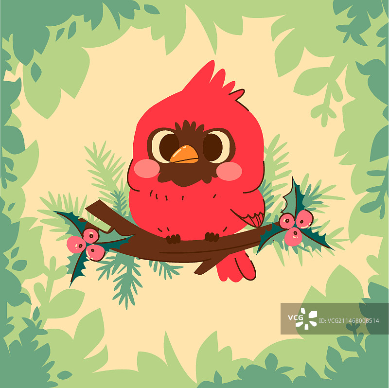 手绘北美红雀鸟插画图片素材