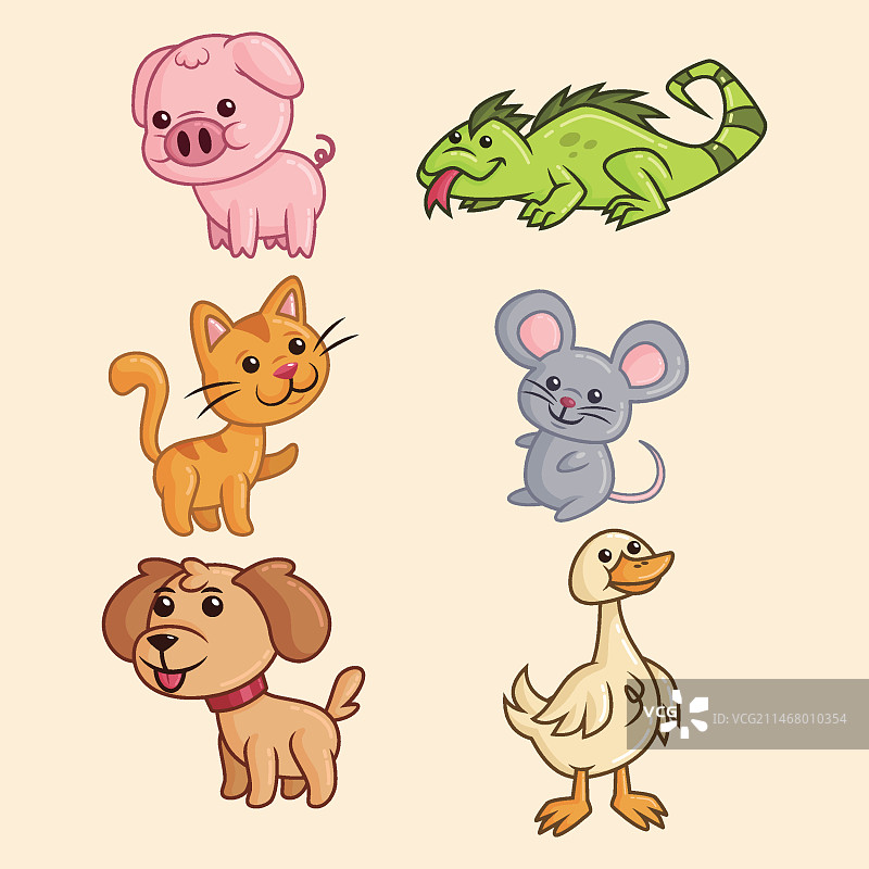 宠物合集图片素材