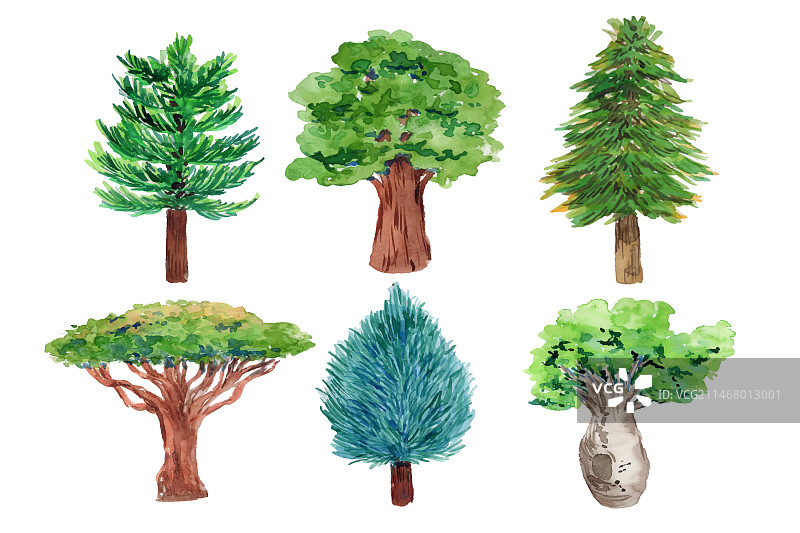 水彩树木图案图片素材