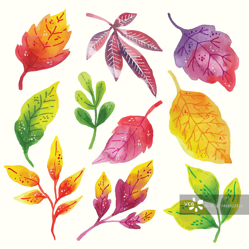 水彩手绘叶子合集图片素材