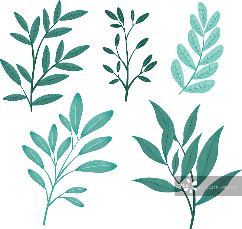 不同扁平化设计的叶子合集图片素材