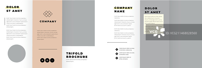 带多肉植物的简约三折宣传册图片素材