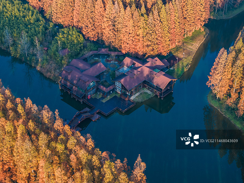 黄海森林公园一隅，江苏盐城东台图片素材