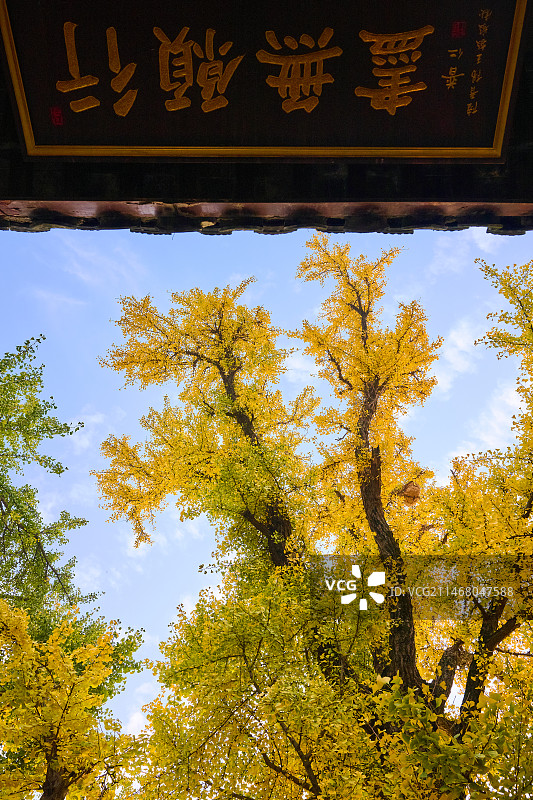 苏州永慧禅寺图片素材