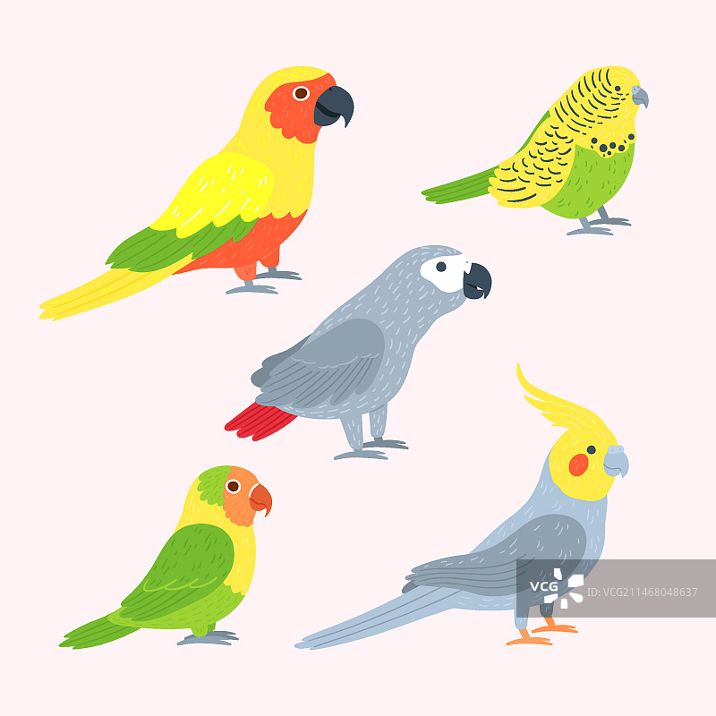 手绘鸟类合集图片素材