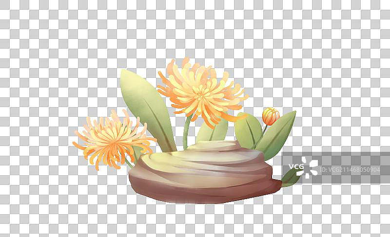 岩石边菊花盛开，清新卡通系列免扣元素图片素材