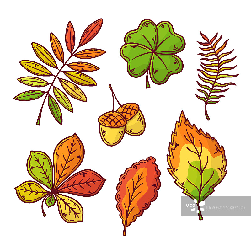 手绘秋叶素材包图片素材
