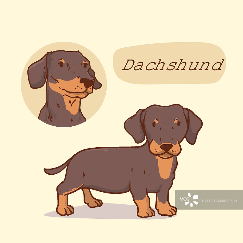 手绘犬种插画图片素材