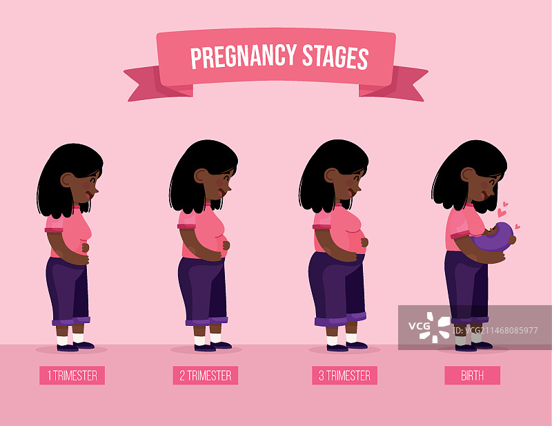 孕期阶段图示图片素材