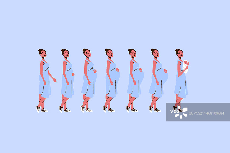 怀孕阶段图解概念图片素材