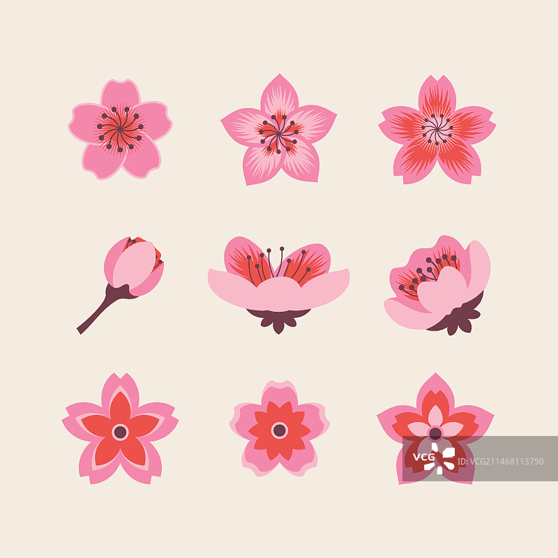 扁平风樱花素材图片素材