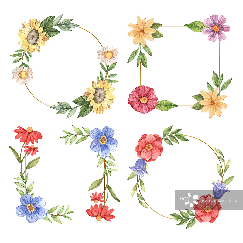水彩花卉边框合集图片素材