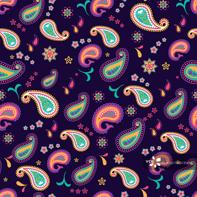 具有彩色元素的精美佩斯利花纹图片素材