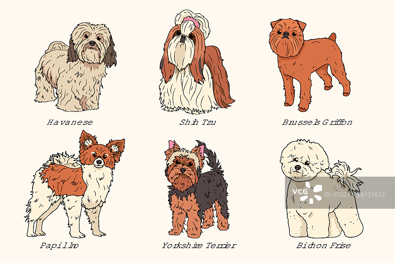 手绘不同品种的狗素材图片素材