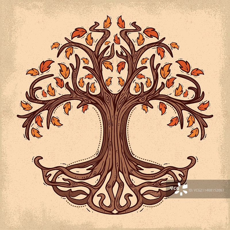 手绘树木生命图片素材