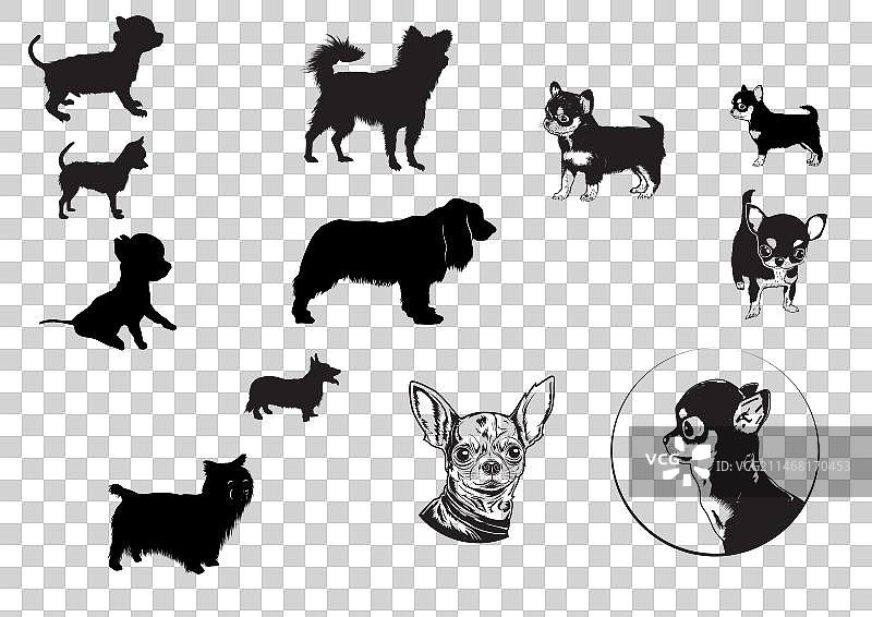 宠物狗的剪影图片素材