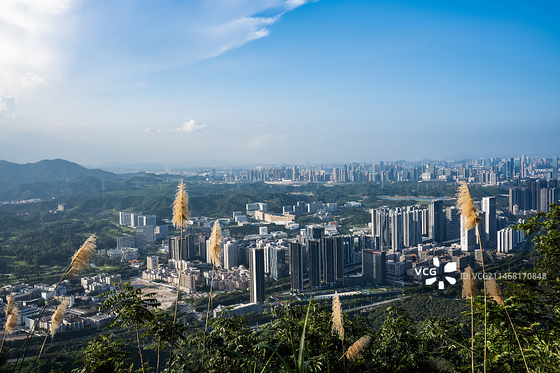 塘朗山下的深圳图片素材
