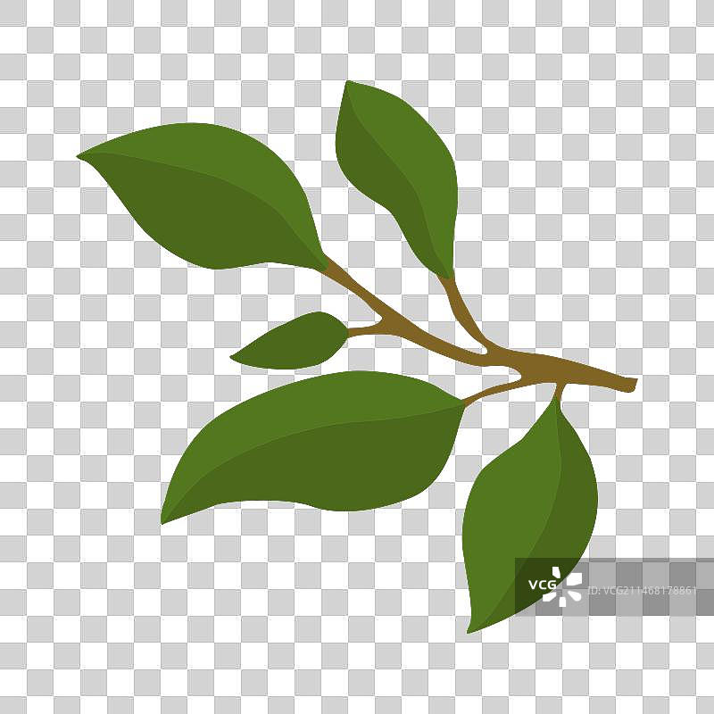 扁平风格的柠檬枝图片素材