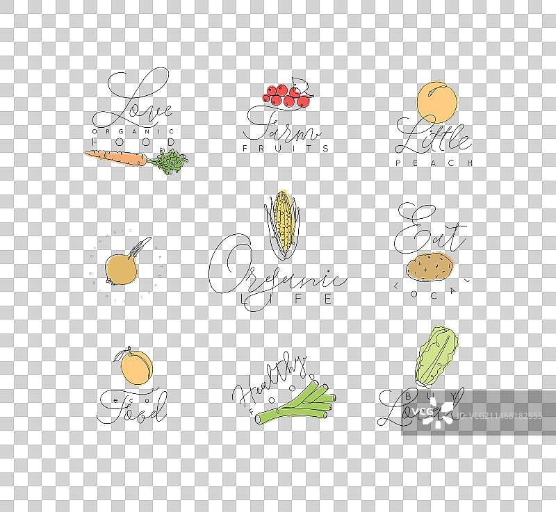 胡萝卜、醋栗果蔬标签图片素材