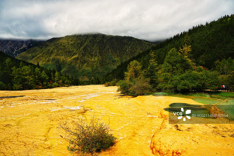 黄龙.金沙铺地图片素材