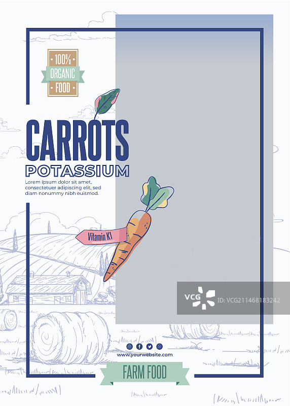 生物健康胡萝卜海报模板图片素材