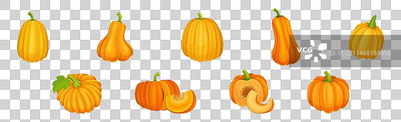 成熟的橙色南瓜或成熟冬瓜图片素材
