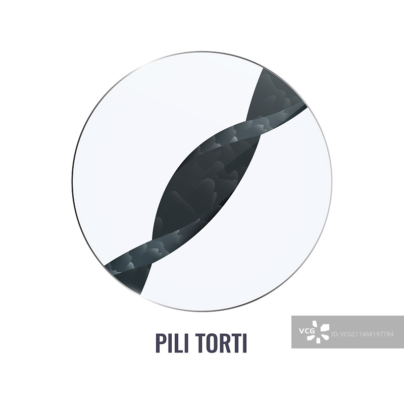 近距离观察扭转毛发症图片素材