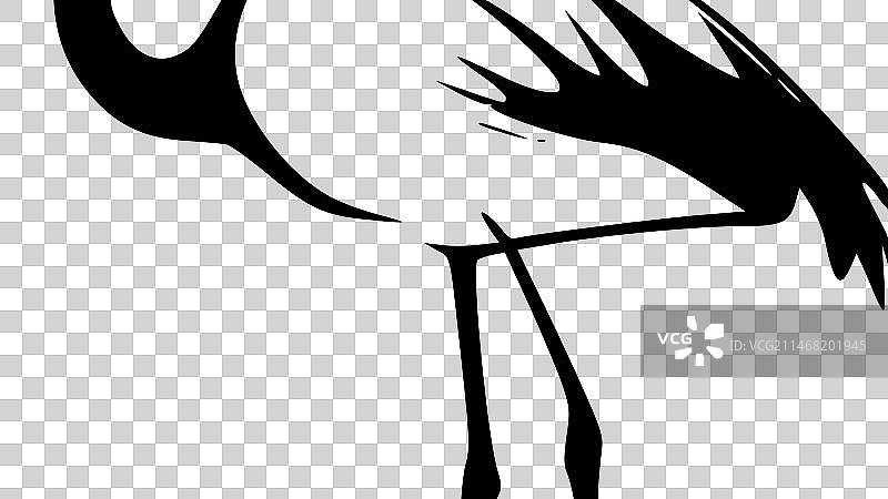 火烈鸟 - 黑白图片素材