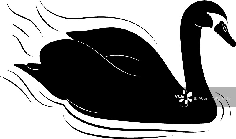 湖面波浪上的天鹅轮廓插图图片素材