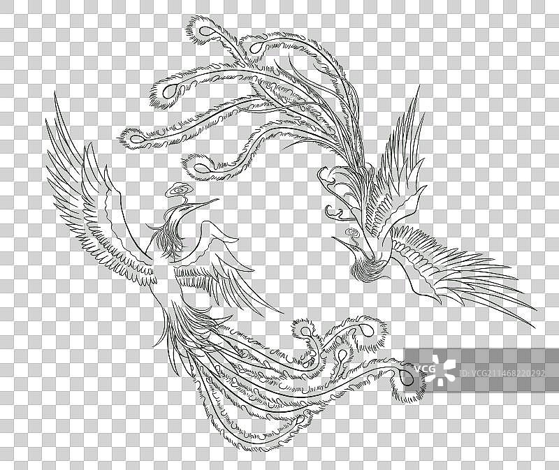 凤凰线稿图片素材