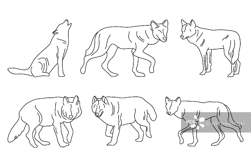 手绘狼轮廓插画图片素材