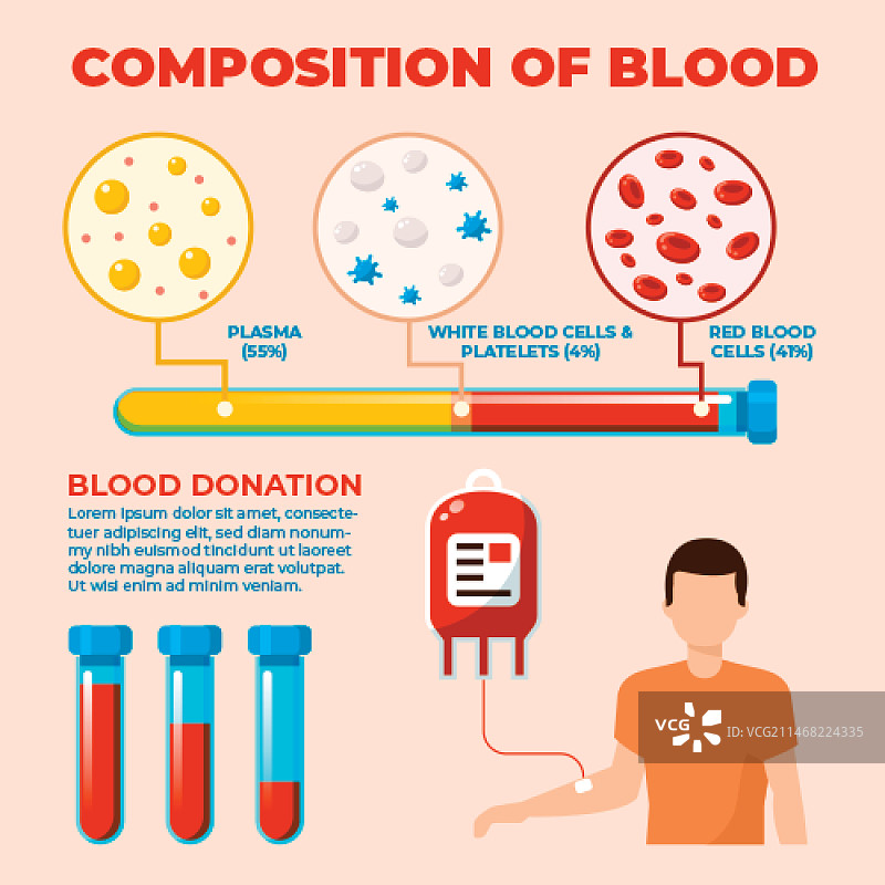 扁平化设计的血液信息图图片素材