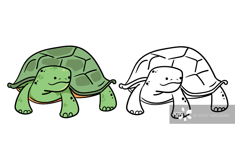 手绘海龟轮廓插画图片素材