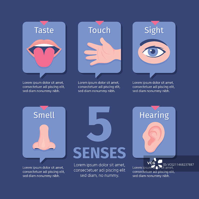 手绘五感信息图图片素材