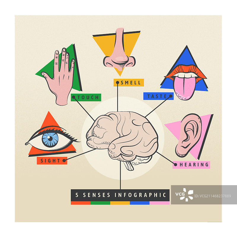 手绘五感信息图图片素材