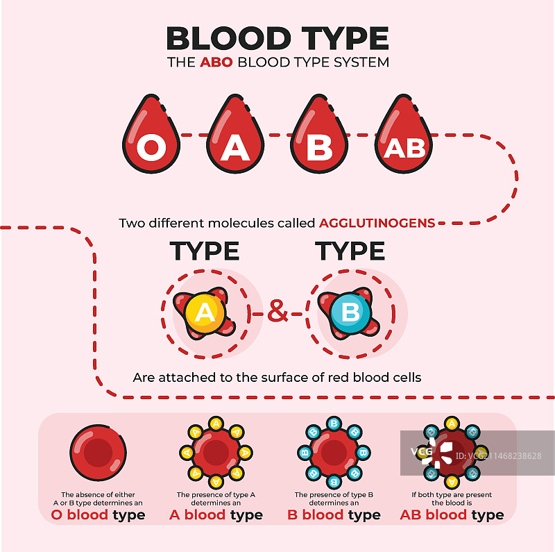 血液信息图图片素材