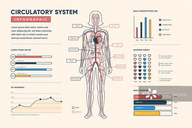 线性循环系统信息图图片素材
