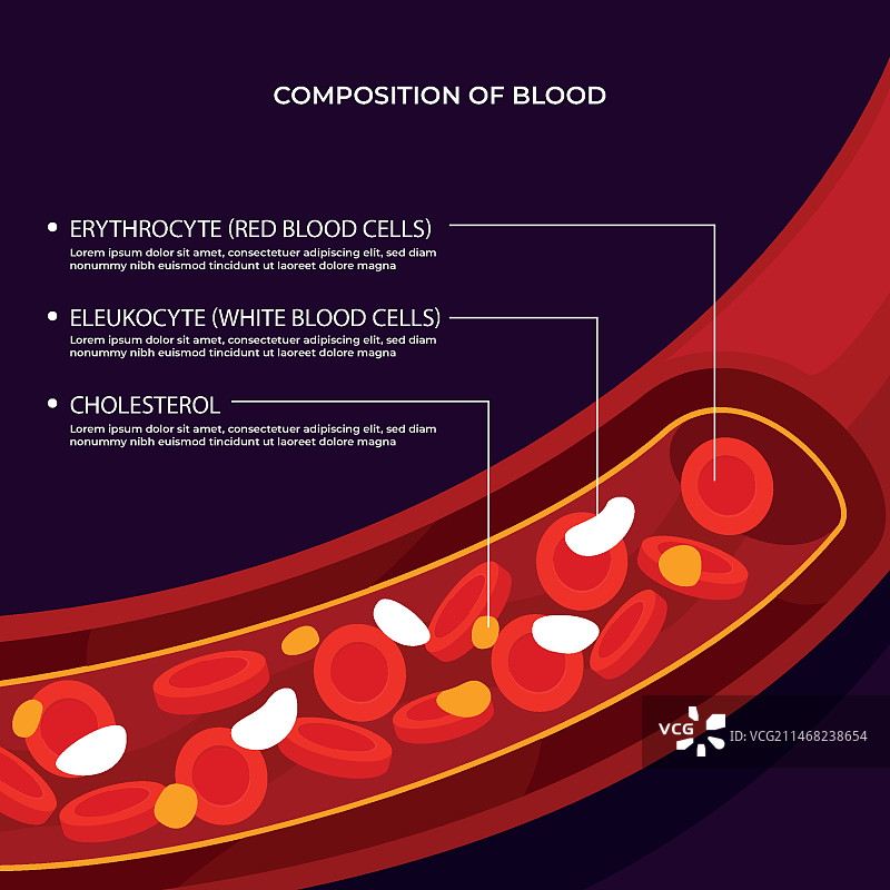 扁平化设计的血液信息图图片素材