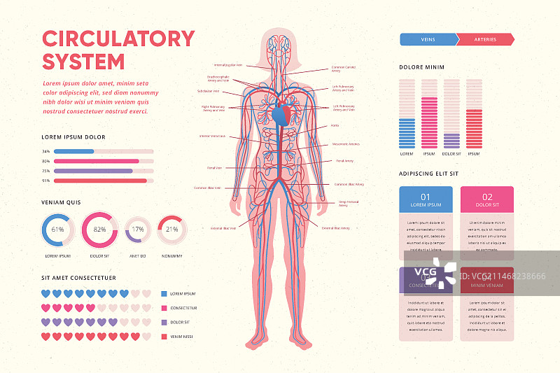 渐变循环系统信息图图片素材
